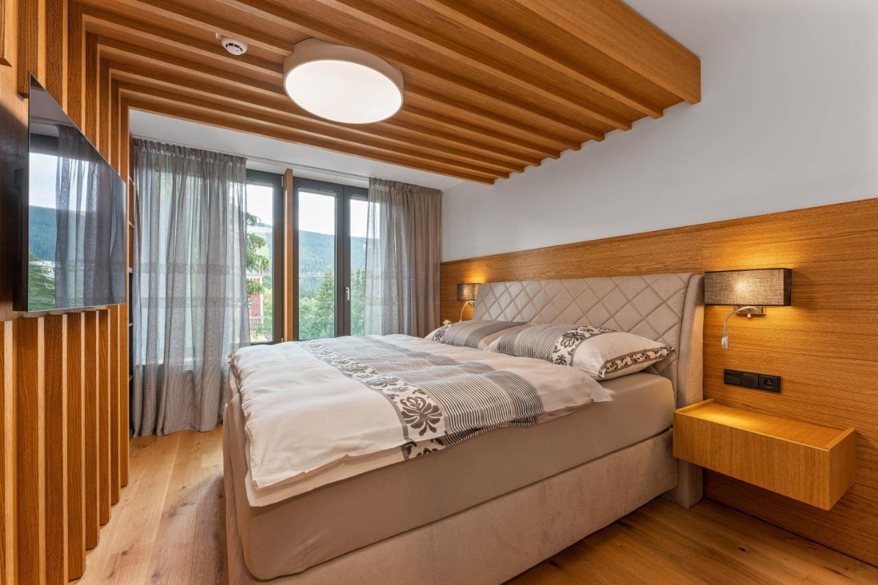 Residence Koubek - Utulny Apartman S Vyhledem A Parkovanim Špindlerŭv Mlýn المظهر الخارجي الصورة
